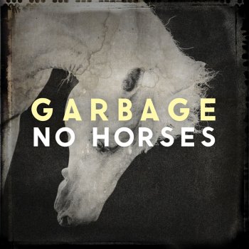 Garbage No Horses