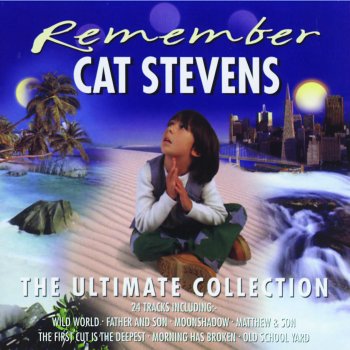 Cat Stevens feat. Alan Tew & Orchestra I Love My Dog