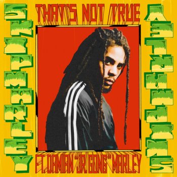 Skip Marley feat. Damian Marley That's Not True (feat. Damian "Jr. Gong" Marley)