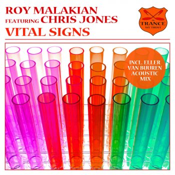 Roy Malakian feat. Chris Jones Vital Signs (Dub Mix)