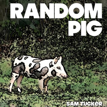 Sam Tucker Random Pig