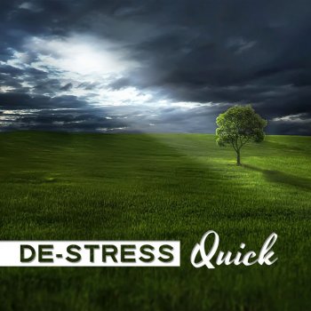 Stress Relief Calm Oasis Chakra Healing