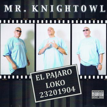 Mr. Knightowl Junto a Mi