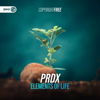 PRDX Elements of Life (Extended Mix)