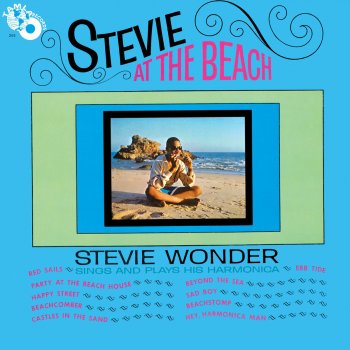Stevie Wonder Hey Harmonica Man - Single Version