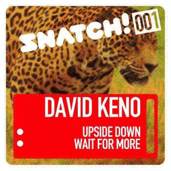 David Keno Upside Down