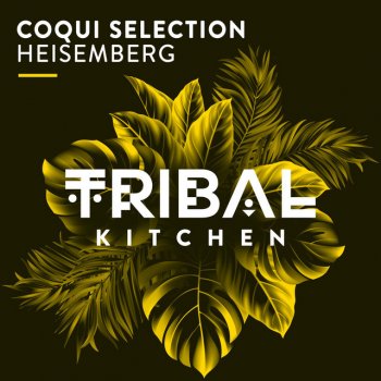 Coqui Selection Heisemberg - Original Mix