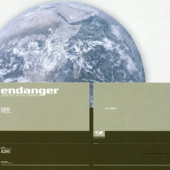 Endanger Enter the Remix-Zone
