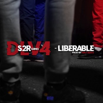 S2R GANG DLV #4 Libérable (prod by Waly Beats) - Single