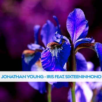 Jonathan Young feat. SixteenInMono Iris