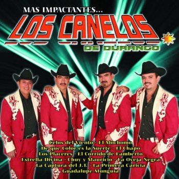 Los Canelos de Durango Estrella Divina