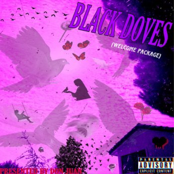 Don Juan Black Doves (No Luv 4 an Op)