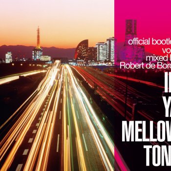 Robert de Boron In Ya Mellow Tone Official Bootleg, Vol. 2 Mixed By Robert de Boron (Continuous Mix)