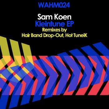 Sam Koen Kleintune (Hair Band Drop-Out Remix)