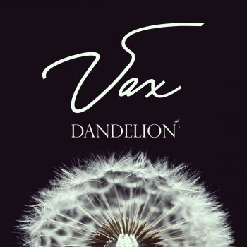 Vax Dandelion