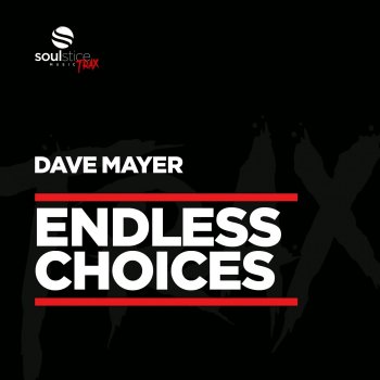 Dave Mayer Endless Choices (Radio Edit)