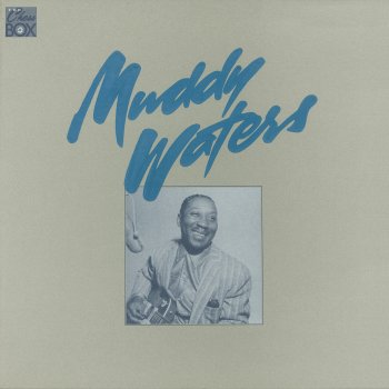 Muddy Waters Baby, Please Don't Go