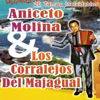 Aniceto Molina Charango Costeña