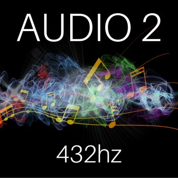 Audio 2 Il disco