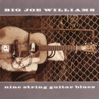Big Joe Williams Jiving the Blues