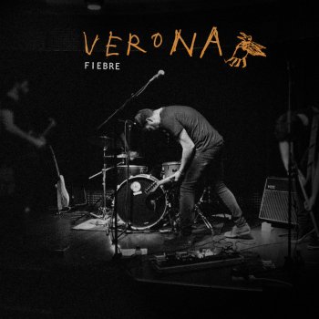 Verona Fiebre