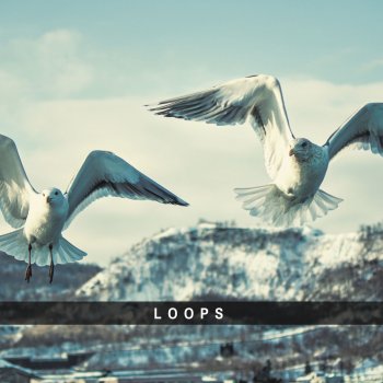 Weltschmerz Loop E - Original Mix