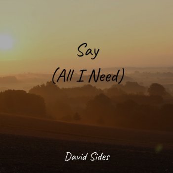 David Sides Say (All I Need)