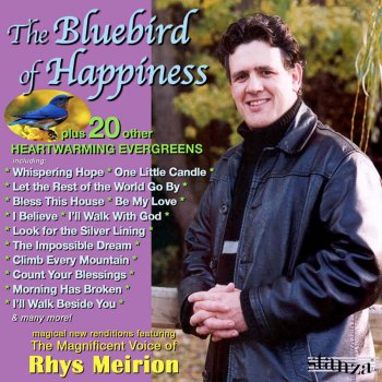 Rhys Meirion I'll Walk Beside You