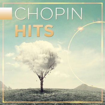 Frédéric Chopin feat. Henrik Måwe Nocturne in C-Sharp Minor, B. 49 (Lento con gran espressione)