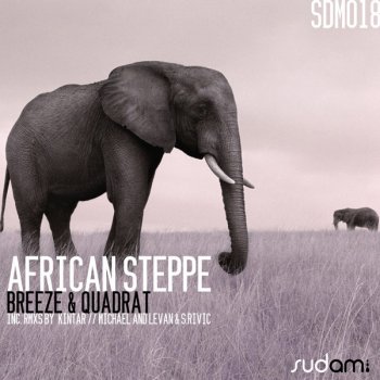 Breeze & Quadrat African Steppe - Original Mix