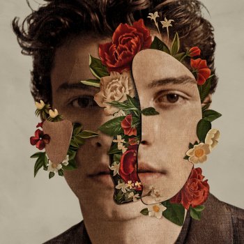 Shawn Mendes Fallin' All in You