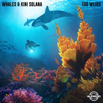 Whales feat. Kini Solana Too Weird