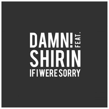 Damn! feat. Shirin If I Were Sorry