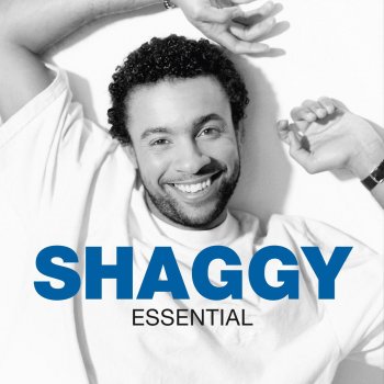 Shaggy Get Up Stand Up