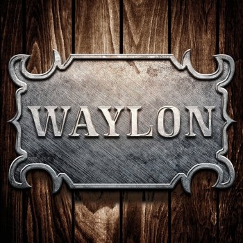 Waylon Jennings & The Waylors Shutting Out the Light