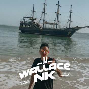 DJ Wallace NK feat. DJ PBeats, MC RD, MC Nieba & Mc Morena VAI EMBORA SEM CABAÇO