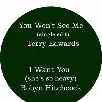 Terry Edwards You Won't See Me - Single Edit