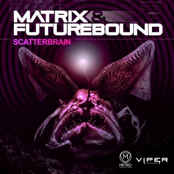 Matrix & Futurebound Scatterbrain