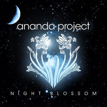 Ananda Project Secrets (King Britt Sunset Mix)