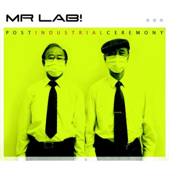 Mr Lab! Would You Like