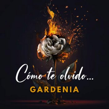 Gardenia Cómo Te Olvido...