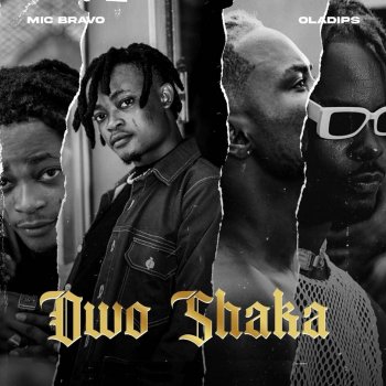 Mic Bravo Owo Shaka (feat. Oladips)