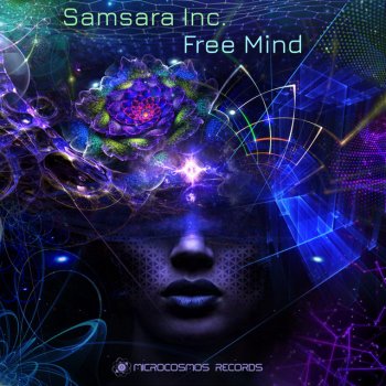 Samsara Inc. Cosmic Module