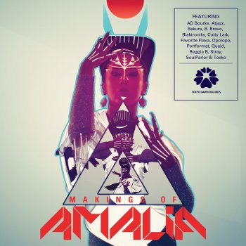 Amalia All the Funk I Need (Stray Remix)
