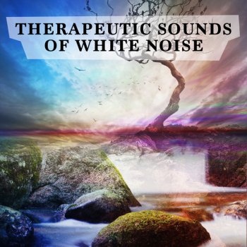 White Noise Therapy White Noise: Shifting Noise