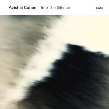 Avishai Cohen Into the Silence