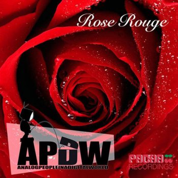 Analog People in a Digital World Rose Rouge ( JP Candela & Vlada Asanin Sunrising Vocal )