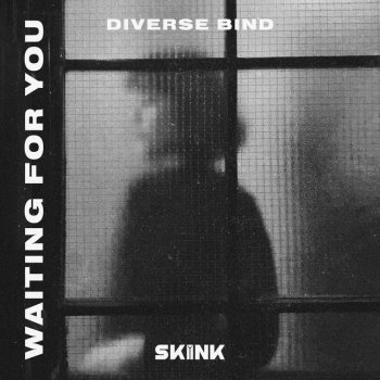 Diverse Bind Waiting For You (Extended Mix)