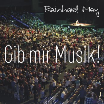 Reinhard Mey Gib mir Musik (Live)