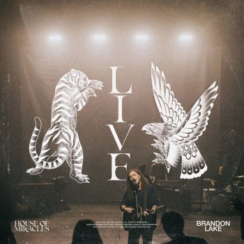 Brandon Lake feat. Dante Bowe & Matt Maher Son Of Heaven - Live